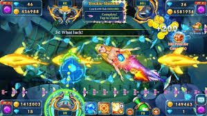23win con